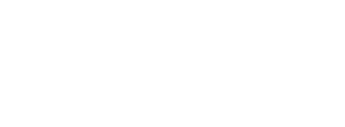 owking logo